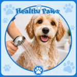 Dog Bath Only